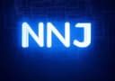 Nara Network Japan Logo